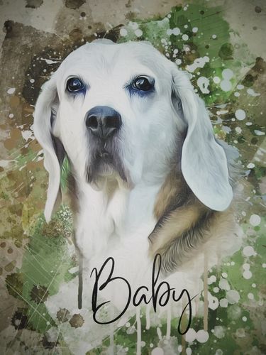 Customer photo review of Aquarell Pawtrait