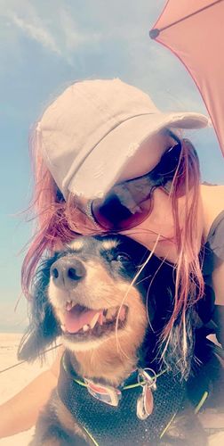 Customer photo review of Distressed Ponytail Summer Cap