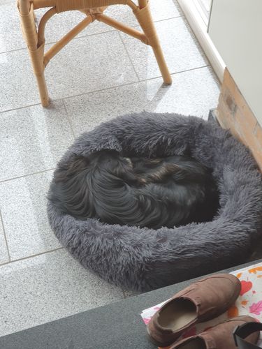 Customer photo review of Puppery Kuschelbett - Das Original