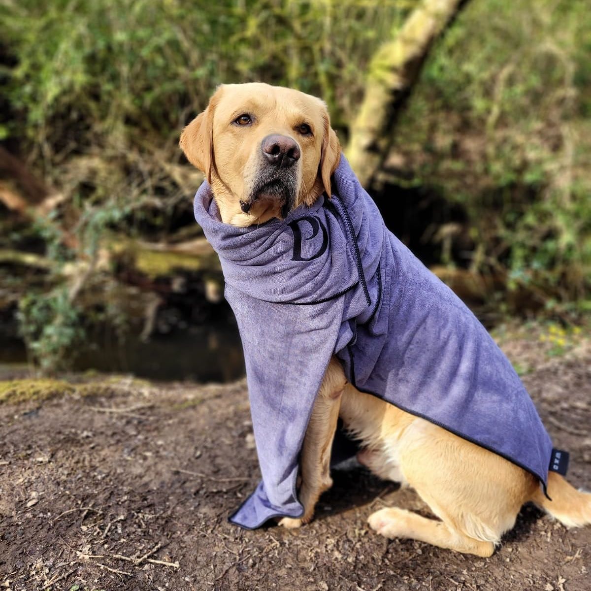 Customer photo review of Luxury Dog Towel