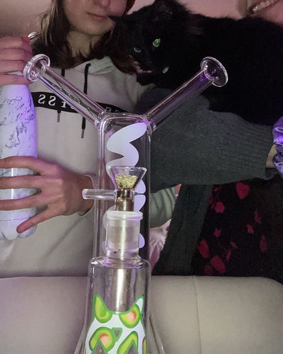 The Bestie Bong Clear Mav Glass