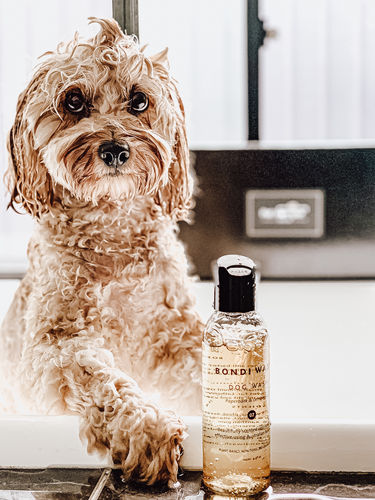 Customer photo review of Nurturing Paws Hamper