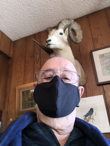 Customer photo review of Advanced Nanotech Premium Face Mask