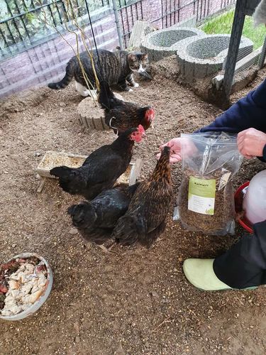 Customer photo review of BlackTasty™ Futtermittel aus Insekten