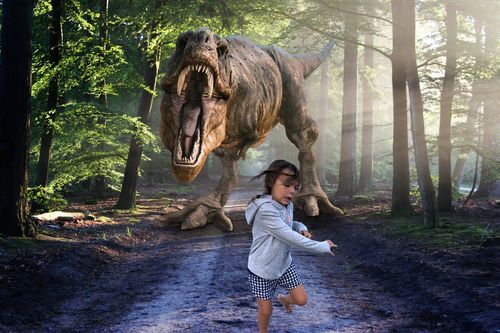 Customer photo review of Dino Forest