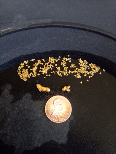 Customer photo review of *New* 2020 NUGGET RESERVE 'CLUNKER' Gold Paydirt Panning Unsearched