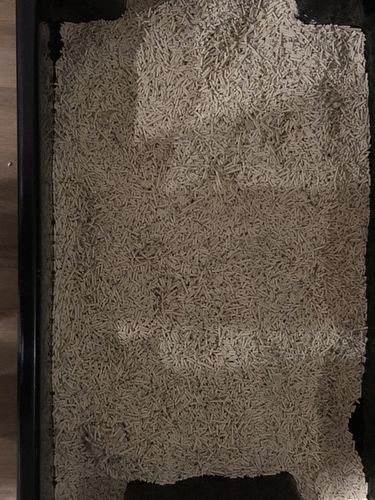 Customer photo review of Furrytail Michu Natural Clumping Tofu Cat Litter 2.5kg/6L