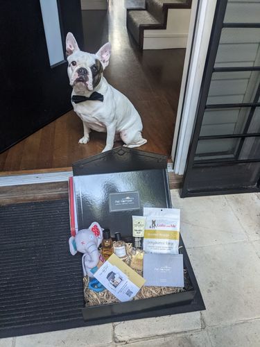 Customer photo review of Paws & Pamper Hamper