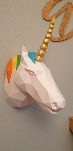 Customer photo review of Licorne