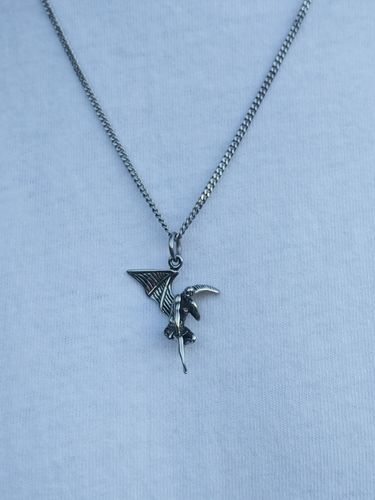 Customer photo review of Fallen Angel Pendant Necklace