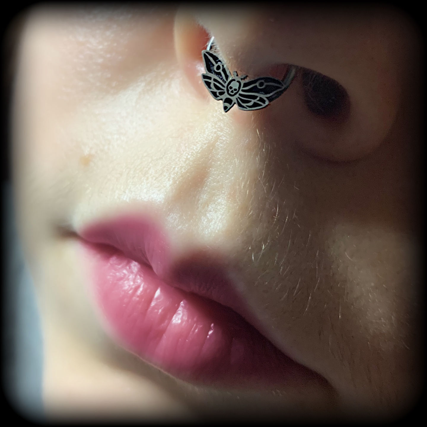 Customer photo review of 16G Death's Head Moth Captive Bead Ring