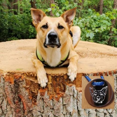 Customer photo review of Lineart Freundschaftsarmband