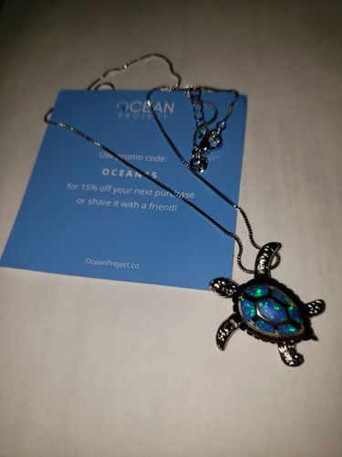 Ocean Project Reviews