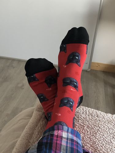 Customer photo review of Chaussettes Personnalisées Animal