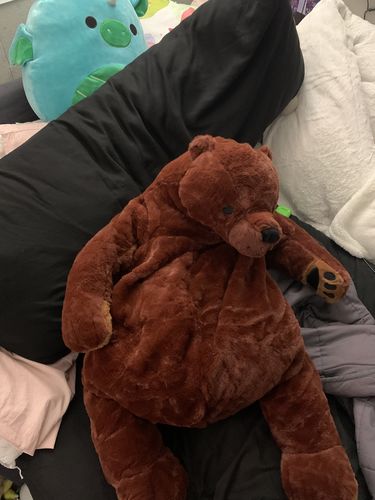 Customer photo review of SKOGGY BEAR