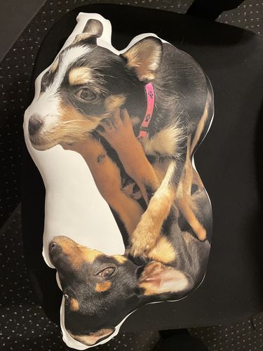 Customer photo review of Create A Custom Dog Pillow