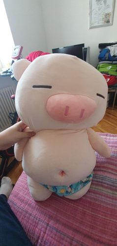 Customer photo review of PeePee Piggy