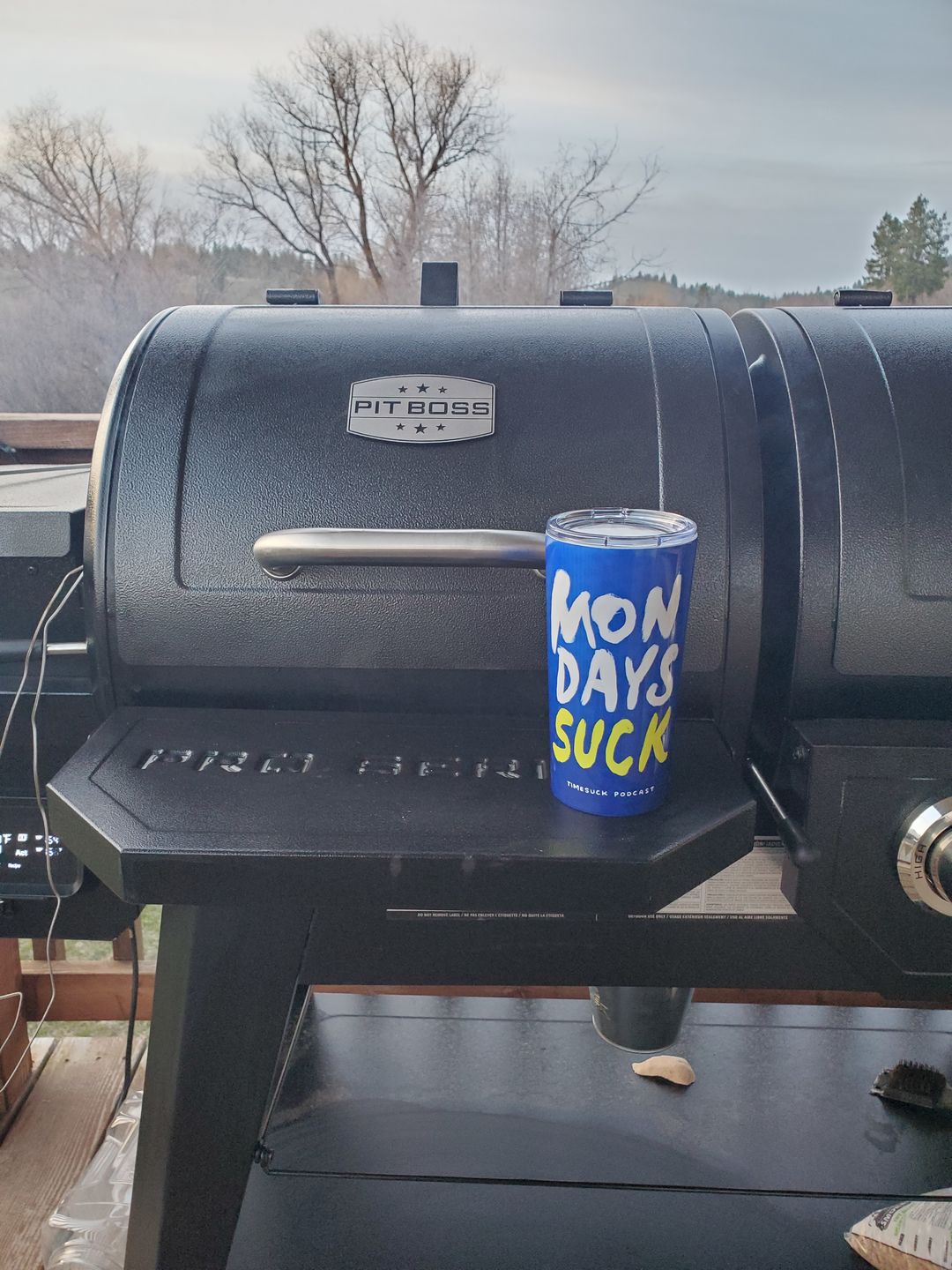 Customer photo review of Mondays SUCK 20oz Tumbler