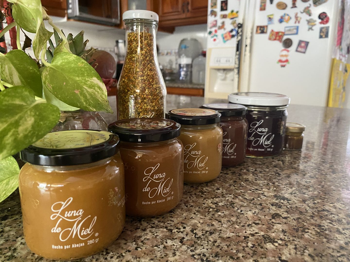 Customer photo review of Kit Luna de Miel