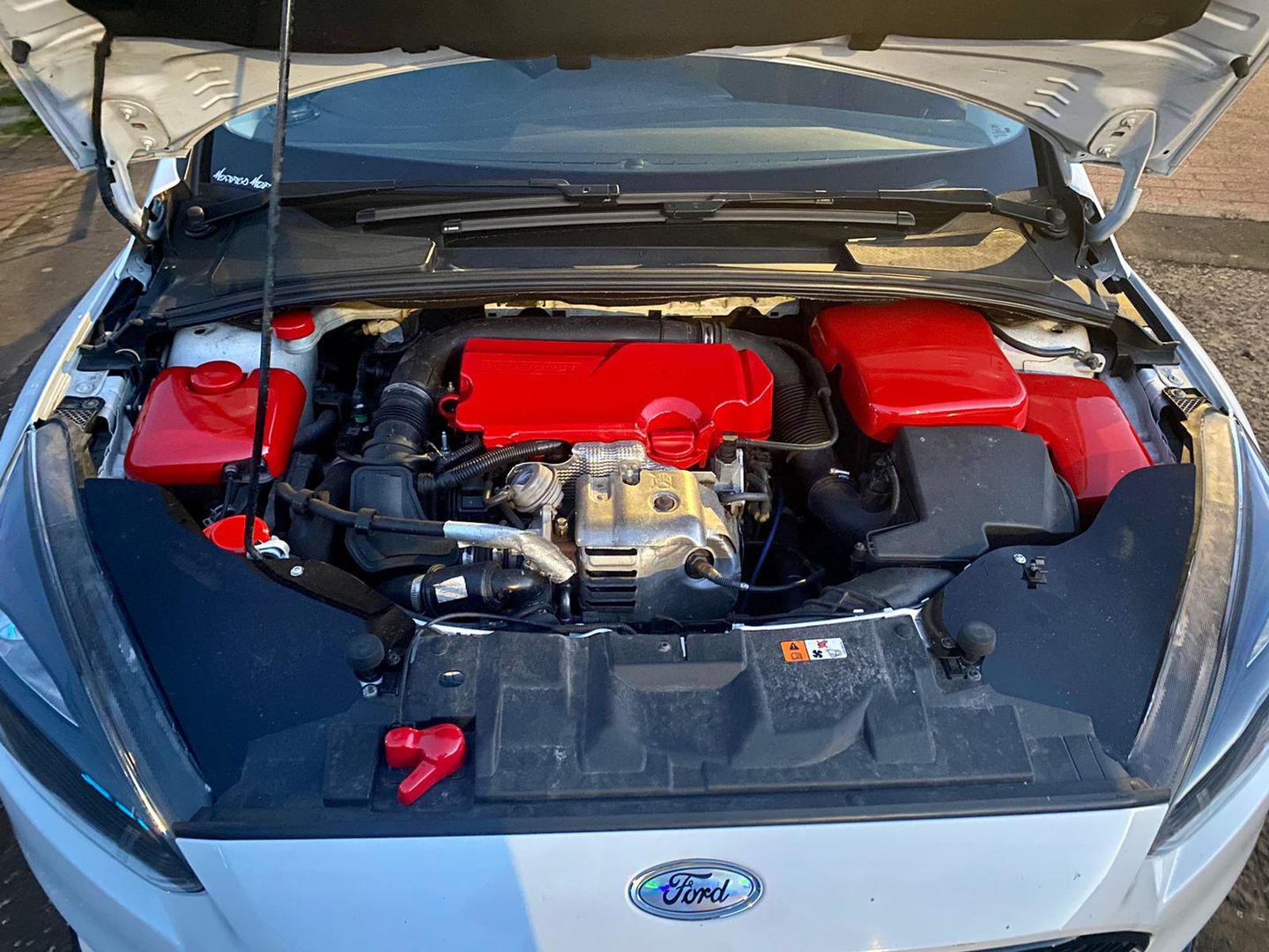 Customer photo review of Proform Bonnet Catch Cover (various colours) - MK3/ 3.5 Focus