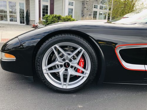 Customer photo review of blue shine™ | premium tire shine