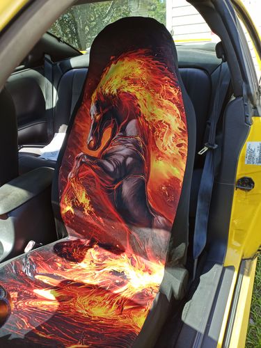 Customer photo review of The Horse Was On Fire Car Seat Covers