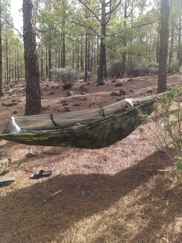 Customer photo review of Gallivant Hammock