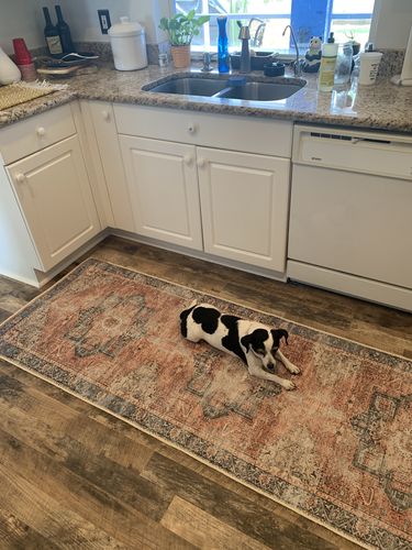 Customer photo review of Distressed Vintage Cezanne Terracotta Sky Runner