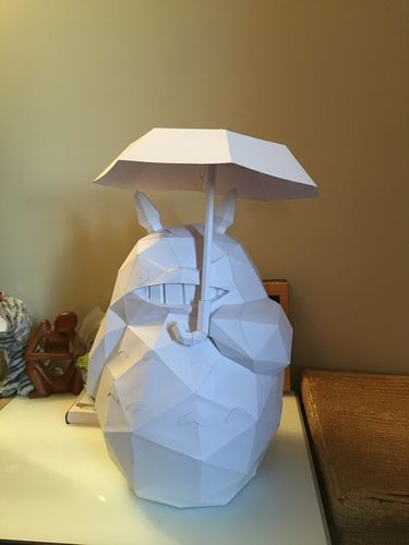 Customer photo review of Totoro