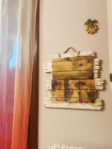 Customer photo review of BabyFamily -  Vintage Resin