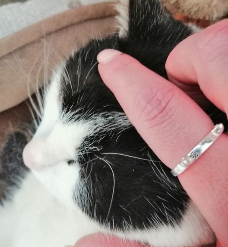 Customer photo review of Personalised Cat Ear Shaped Name Ring