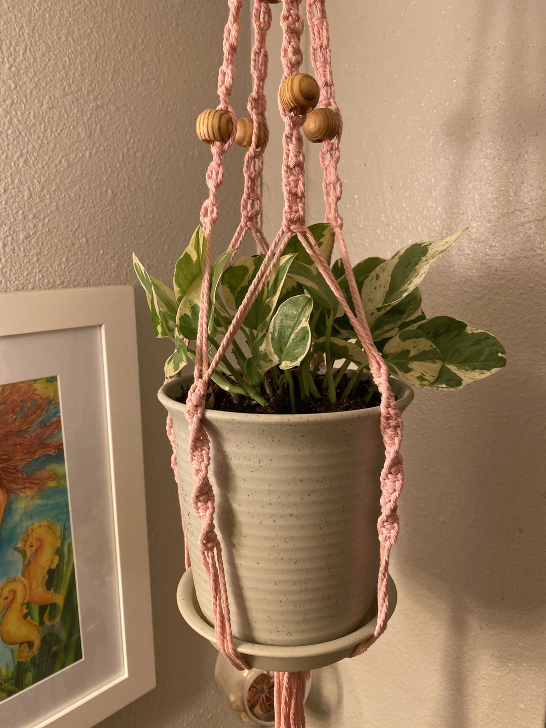 Customer photo review of 4" Pothos Pearls and Jade