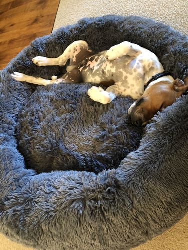 bessie and barnie discount code