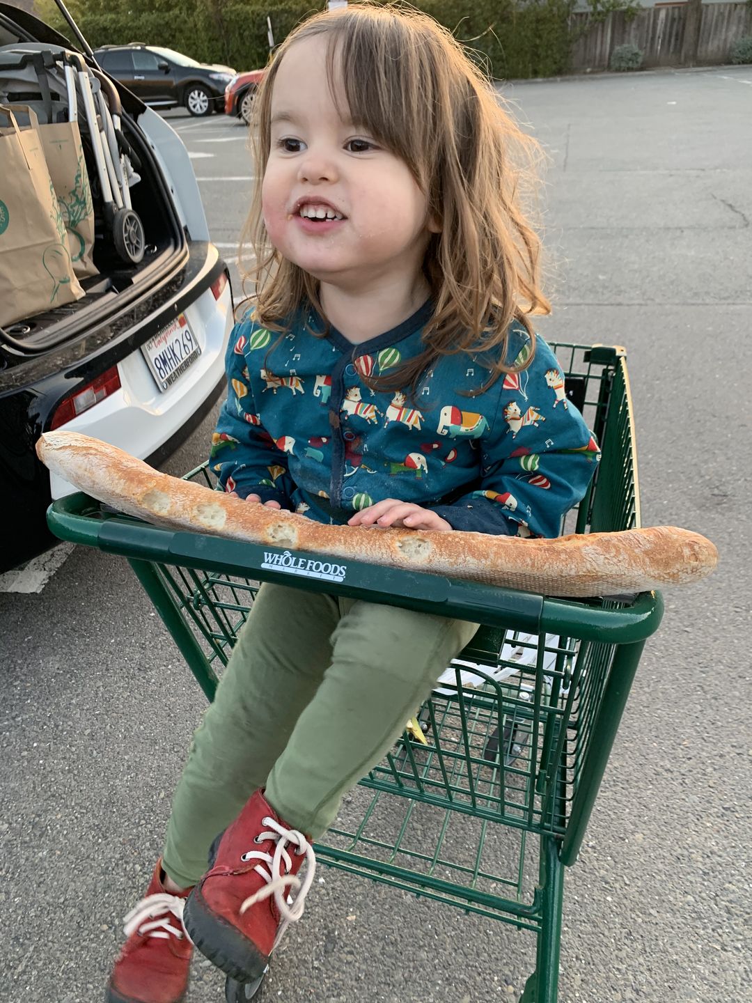 Customer photo review of Join Our Jamboree Reversible Spring Jacket