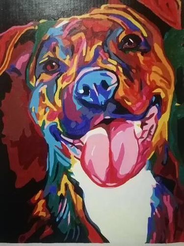 Customer photo review of Stafford colorido