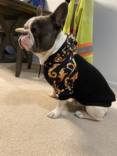 Customer photo review of Baroque Hoodie - Black & Gold
