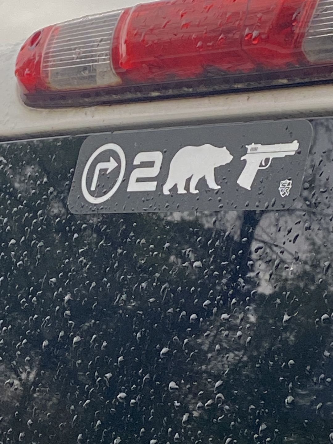 Customer photo review of Right 2 Bear Arms Decal