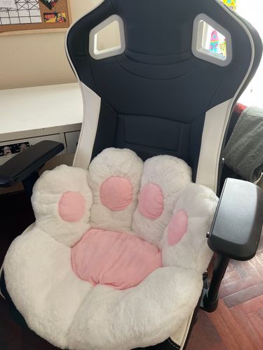 Customer photo review of Puurrrfect Paw Pillow