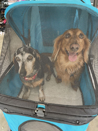 dog stroller reversible handle