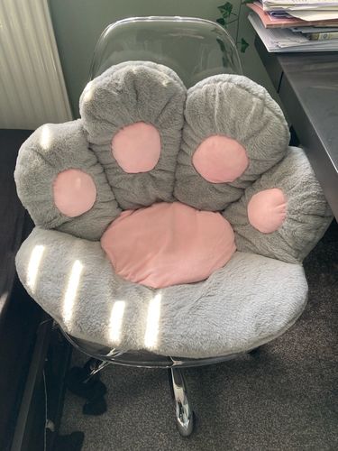 Customer photo review of Puurrrfect Paw Pillow