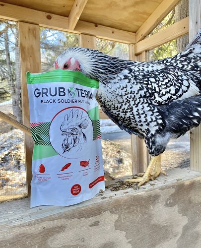 Customer photo review of GrubTerra Dried Larvae