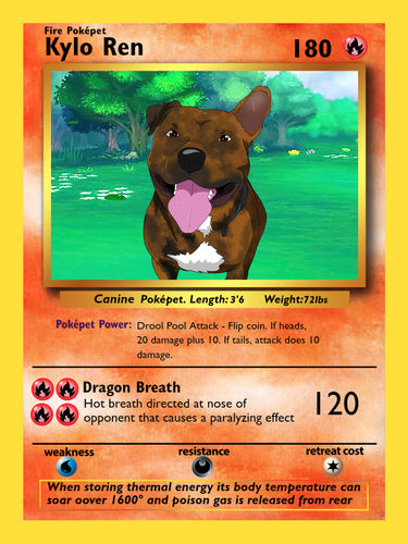 Customer photo review of Pokepet