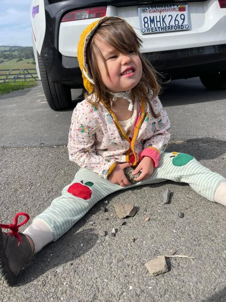 Customer photo review of The Birds Did Sing Reversible Spring Jacket