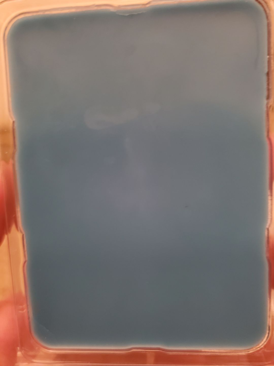 Customer photo review of Petrichor Wax Melts