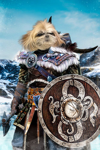 Customer photo review of 'Viking Warrior' Personalized Pet Canvas