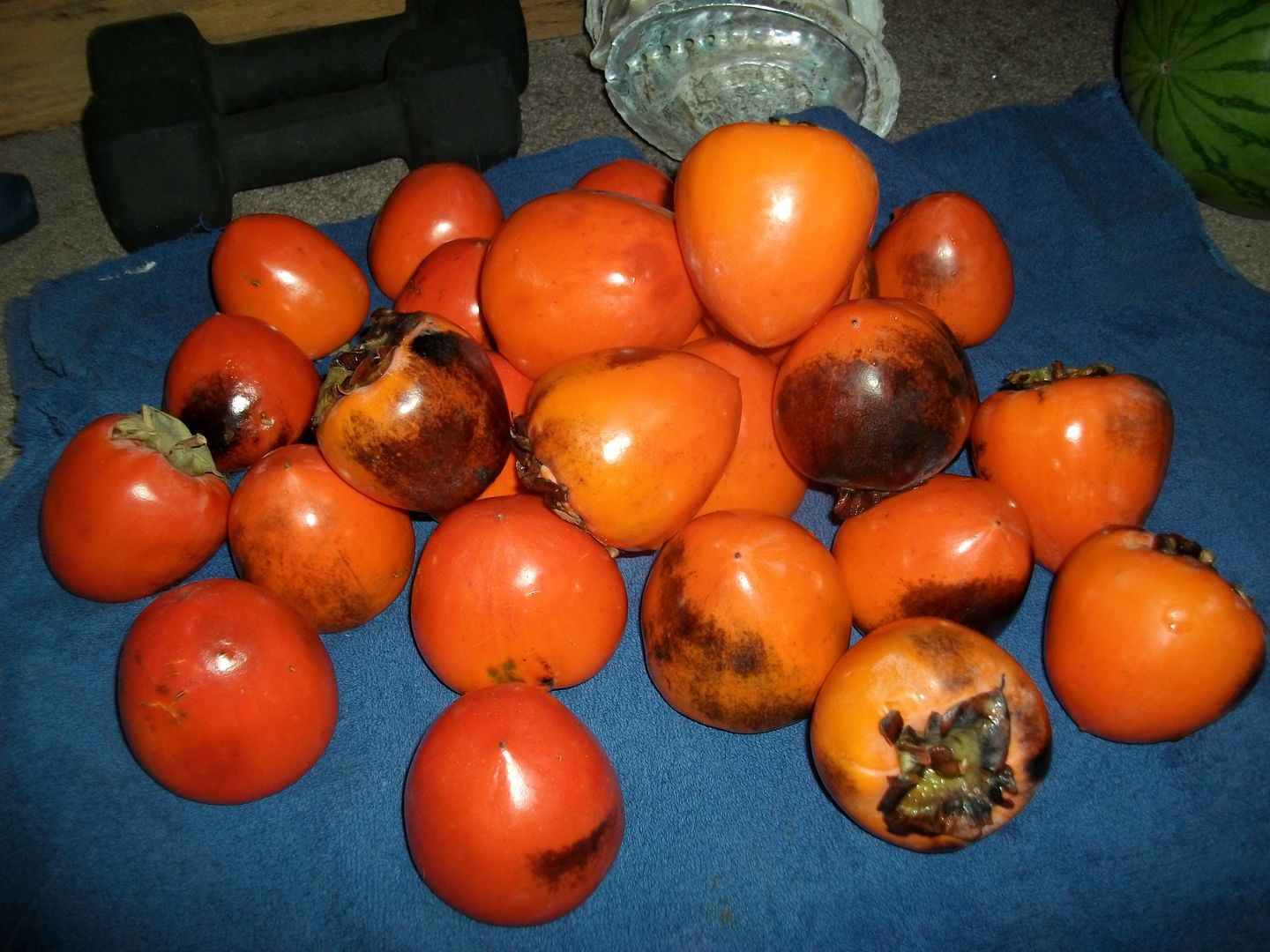 Customer photo review of Sprouted Coconut Box