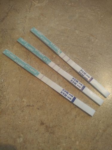 Customer photo review of Ovulation Test Strips