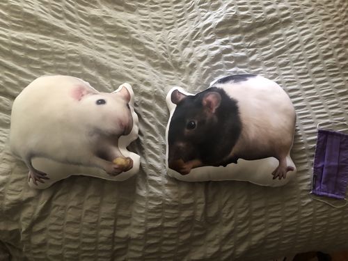 Customer photo review of Create A Custom Animal Pillow