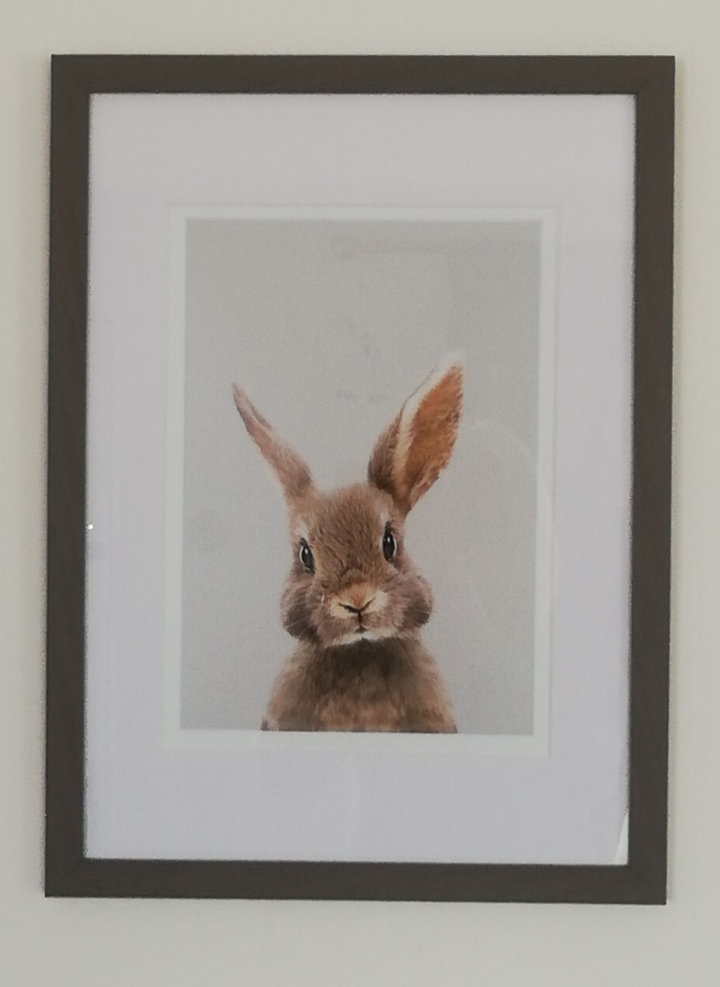 Customer photo review of Rabbit Print