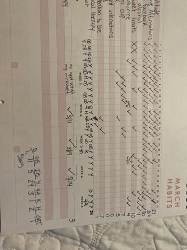 Customer photo review of Habit Tracker Calendar